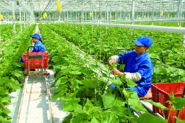 吸引企业投入农业农村