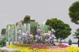 胡志明市为2018戊戌年春节阮惠花街做好准备