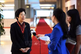 中国审计署审计长：中国愿同越南及各国分享环境审计经验