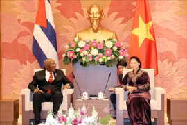 越南国会主席阮氏金银会见古巴国务委员会第一副主席兼第一副部长会议主席