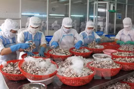 越南农产品出口出现许多亮点