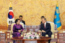 韩国总统与越南国会主席会晤：韩国媒体密集报道