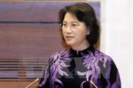 国会主席阮氏金银：亚太议会论坛第26届年会充分发挥APEC的成果