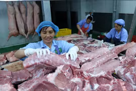 美国猪肉寻找对越南出口的出路