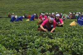 2018年第三次木州茶叶节有助于打造木州名茶品牌
