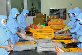 芹苴市促进主力产品的出口
