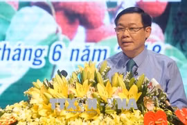 王廷惠副总理：北江省应注重荔枝收获后的保鲜技术