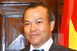 越南外交部副部长：陈大光对埃塞俄比亚和埃及进行的国事访问为双方关系注入新动力