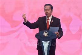 2018年亚洲运动会：印尼总统邀请朝韩领导人出席开幕式