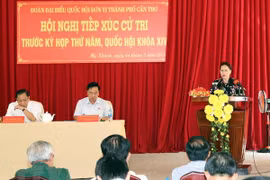 国会主席阮氏金银接待芹苴市丰田县选民
