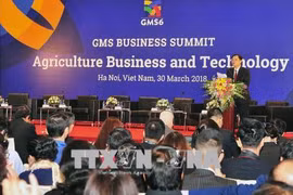 GMS6和CLV 10：高科技农业为促进GMS区域经济增长注入新活力