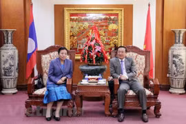 老挝人民革命党中央对外部部长：越南的成就和胜利为老挝的发展注入动力