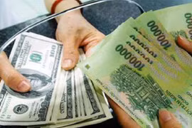 12月26日越盾兑美元汇率小幅波动