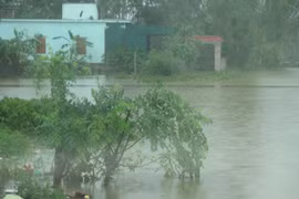 三号台风袭击清化到广平各省海域 造成大雨并持续至20日