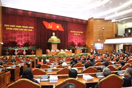 越共十二届中央委员会第七次全体会议闭幕并发表公报