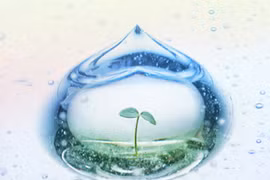 越南以色列水资源周于7月9日至13日举行