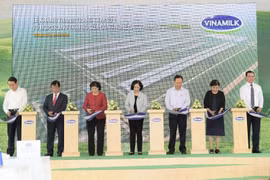 越南乳业股份公司将在清化省新建四个高科技奶牛农场