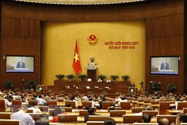 第十四届国会第六次会议：表决通过一项决议和讨论两项法律草案