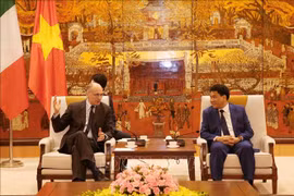 第三次东盟意大利经济关系高级对话会计划在河内召开