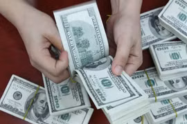 15日越盾兑美元中心汇率上涨12越盾