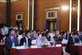 日本企业见面会在广南省会安市举行