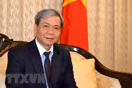 越南驻印度大使： 越印全面战略伙伴关系正呈现出务实有效的发展态势