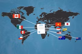 越南加入CPTPP：机遇和挑战并存