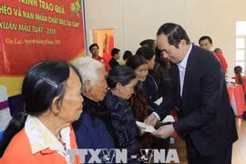 越南国家主席陈大光走访嘉莱省