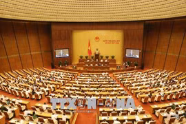 越南第十四届国会第五次会议公报（第十四号）