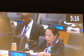 越南在联合国大会分享消除贫困经验