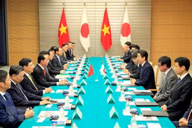 越南与日本发表联合声明