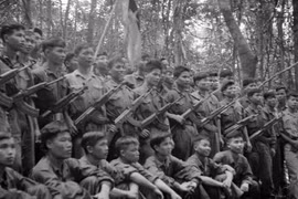 越南外交战线在1968年戊申春季总进攻和崛起中的角色