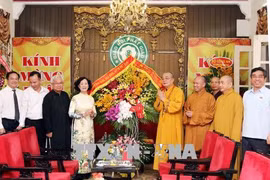 越共中央民运部部长向越南佛教教会中央治事委员会致以佛诞节问候