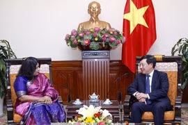 越南政府副总理兼外交部长范平明会见孟加拉国驻越南大使