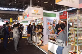 越南食品企业努力征服欧洲市场