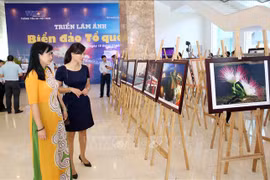 “祖国海洋岛屿”图片展在岘港开展