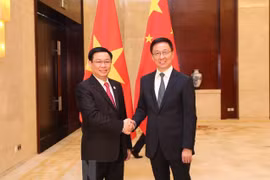 越南政府副总理王廷惠与中国国务院副总理韩正举行会谈