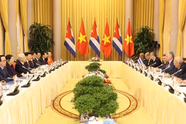 阮富仲与古巴国务委员会主席兼部长会议主席迪亚斯-卡内尔会谈