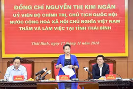 越南国会主席阮氏金银访问太平省