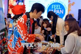 2018年越南日本文化节亮相胡志明市