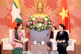 越南国会主席阮氏金银会见缅甸国家顾问兼外交部长昂山素季