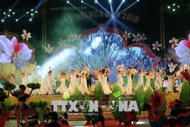 2018年奠边省羊蹄甲花节有助于弘扬传统文化