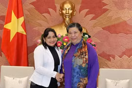 越南国会常务副主席丛氏放会见古共青盟第一书记