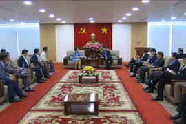 韩国企业盛赞越南平阳省的投资环境
