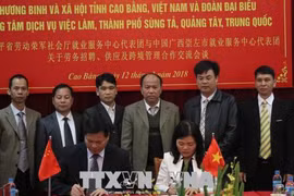 高平省与中国广西崇左市加强跨境劳务管理合作
