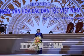越南国家副主席邓氏玉盛：继续保护和弘扬民族文化的价值