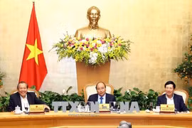 政府总理阮春福：新年伊始就激发农民和企业的生产积极性