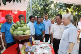 越南共产党总书记阮富仲走访同塔省