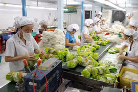 越南蔬菜水果出口保持乐观趋势 