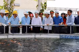 郑廷勇对河静省水产捕捞销售活动进行检查